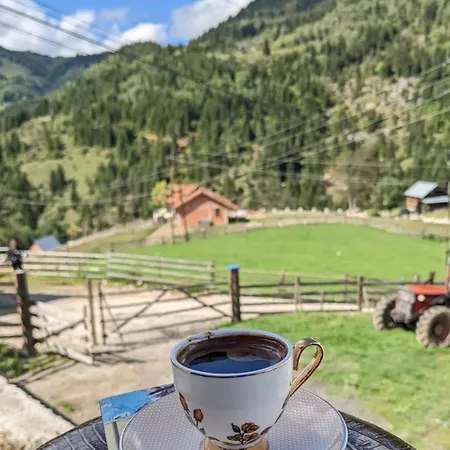 Chalet In Rugove, Kosovo Gjvukaj